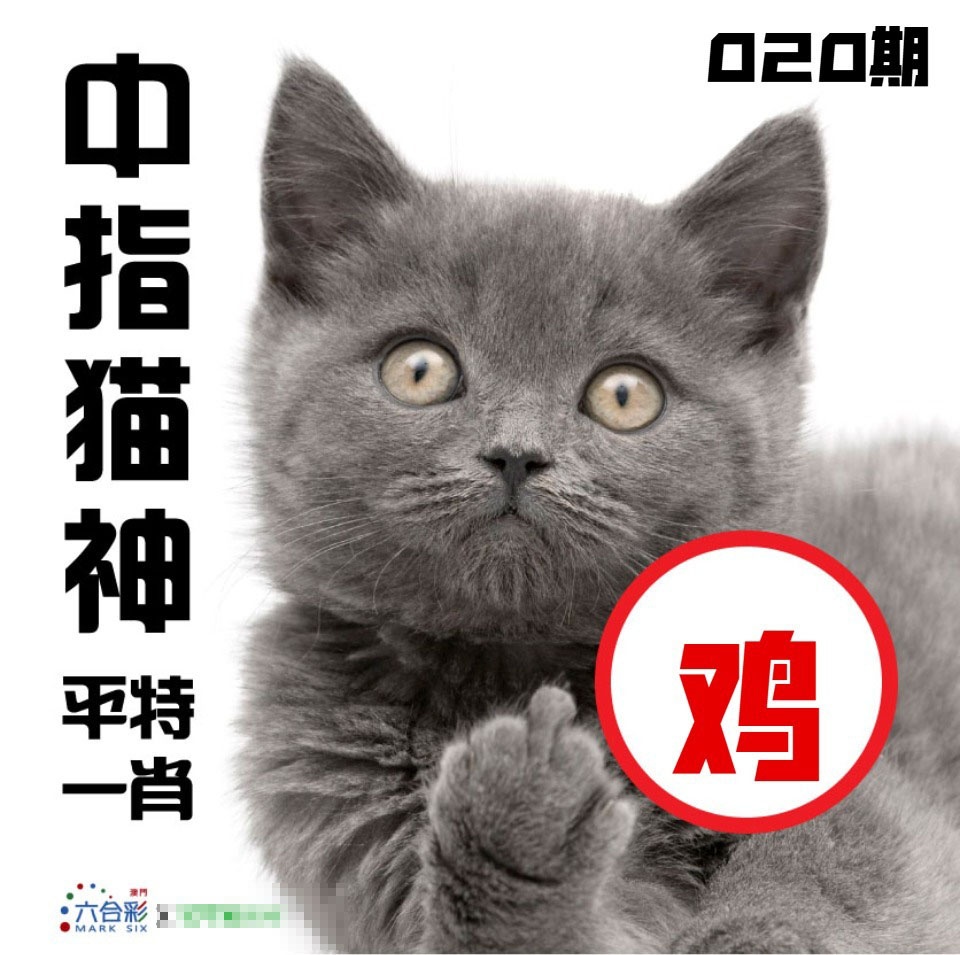 020期中指猫神[图]