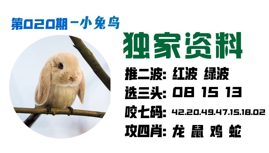 020期小兔鸟[图]